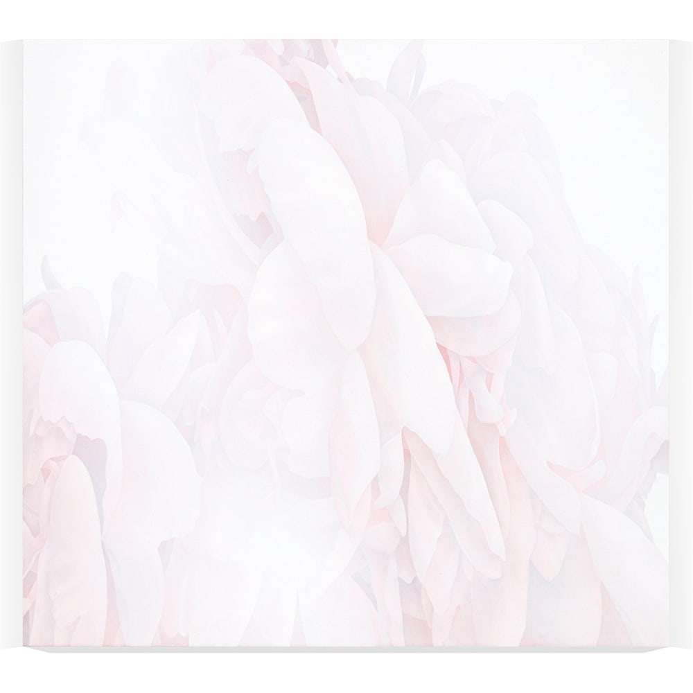 Greg Murr, Material Study 24e: Greg Murr, an American contemporary painter exploring perception and materiality, is in the collection of the Whitney Museum of American Art in New York among other established museums. Murr went on