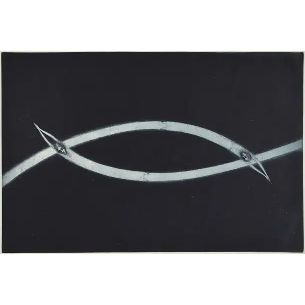 Nele Zirnite, Change: In Change (1996), Nele Zirnite uses intaglio and aquatint on paper to depict fluid transformation. Measuring 24.63 x 32.5 inches unframed, this artist’s proof (AP/20) demonstrates her skill in