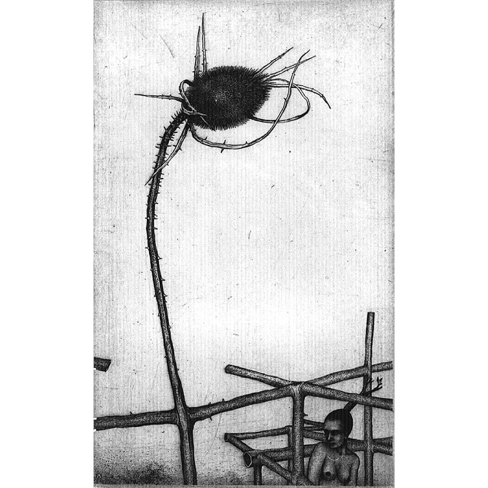 Nele Zirnite, Presentiment: Created in 1989, Presentiment by Latvian artist Nele Zirnite is an intaglio on paper that conveys a sense of anticipation and quiet tension. Measuring 14.25 x 11.25 inches framed, the work is 