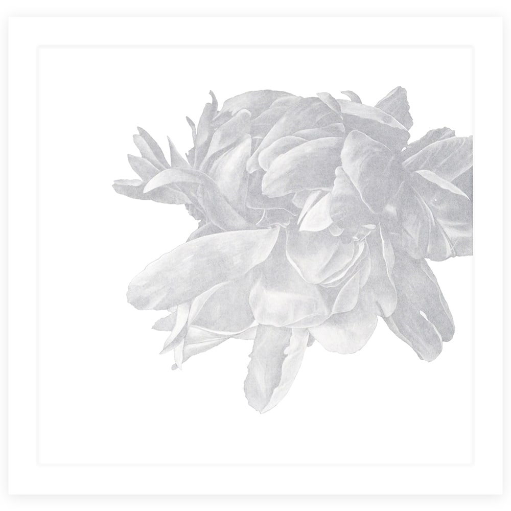 Greg Murr, Something of Physics (maggiore): Greg Murr’s Something of Physics (maggiore) (2014) exemplifies his quiet, contemplative approach to abstraction. Executed as an intaglio on Rives BFK paper, the composition suggests organic or