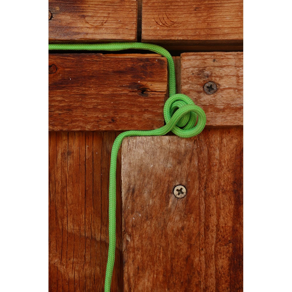 Sophie Carroll, Neon Nature 1: Sophie Carroll is an emerging photographer who focuses on pattern and abstraction as a way of revealing how we imbue form with meaning. She studied semiotics and received a Fullbright Scholarship to