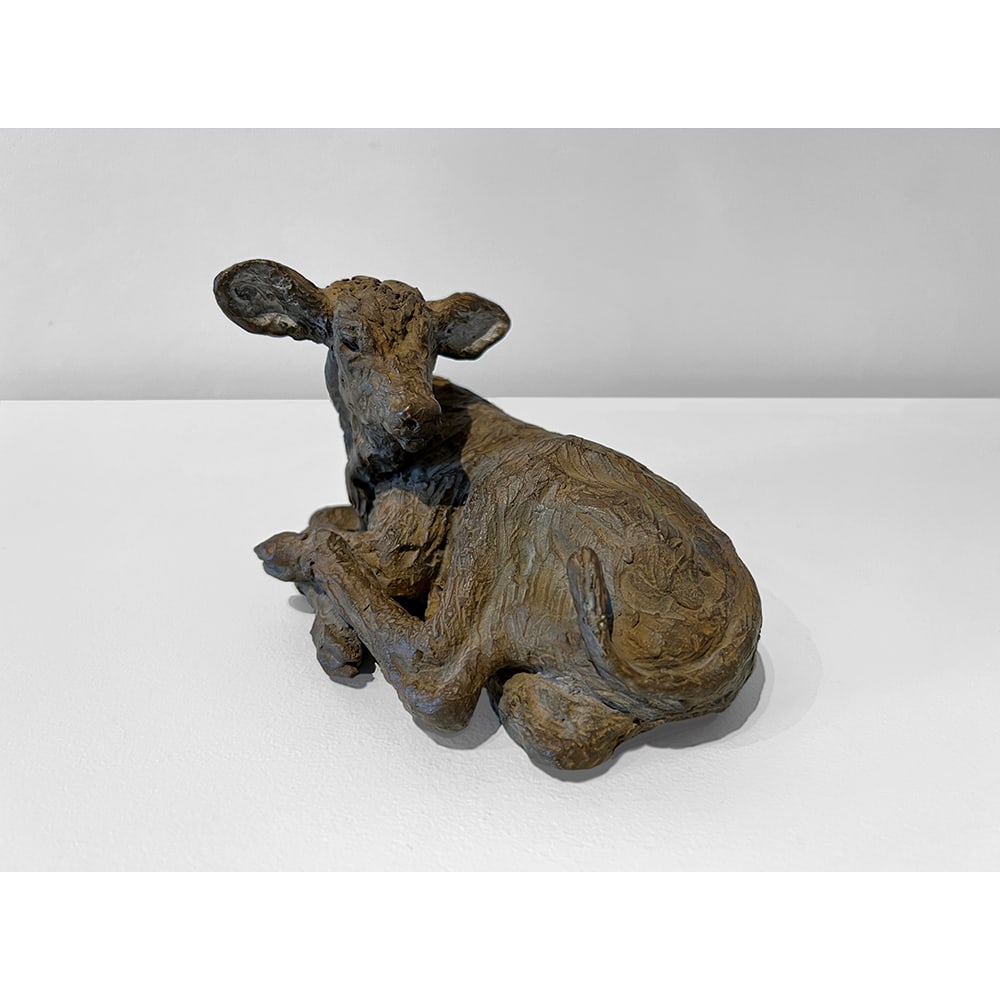 Calyxte Campe, Cow (1 of 1)