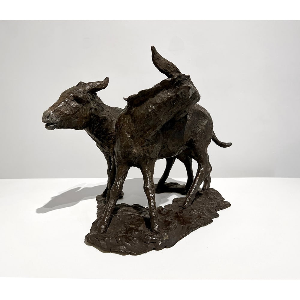 Calyxte Campe, Donkeys (1 of 1)