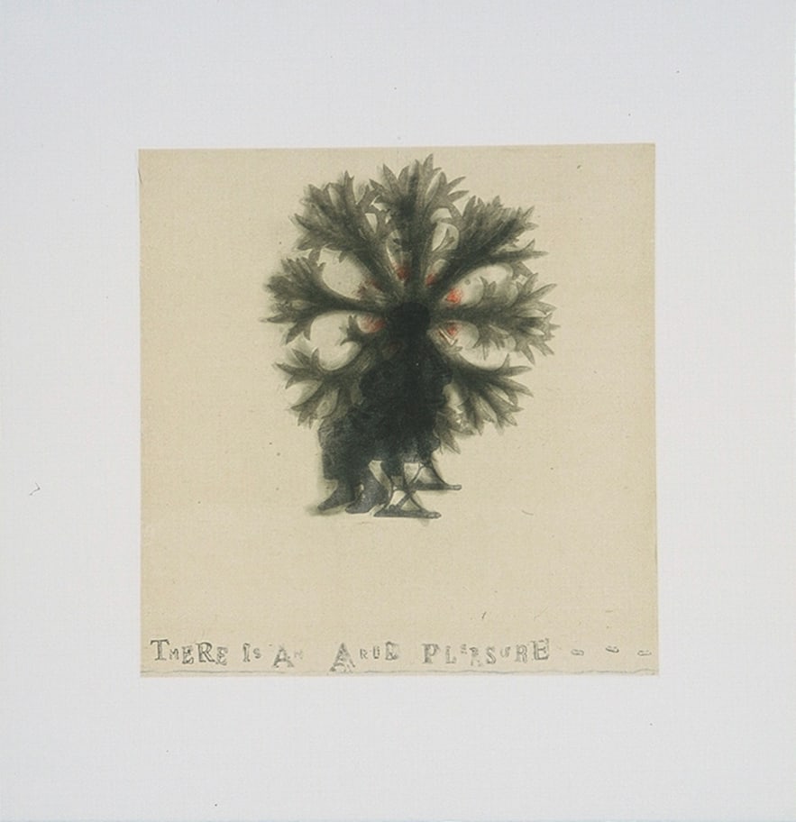 Lesley Dill, Arid Pleasure: Lesley Dill’s lithograph Arid Pleasure is an editionof 10, printed by Landfall Press in 2005. It is offered unframed. Dill is an American multimedia artist known for combining language with the huma