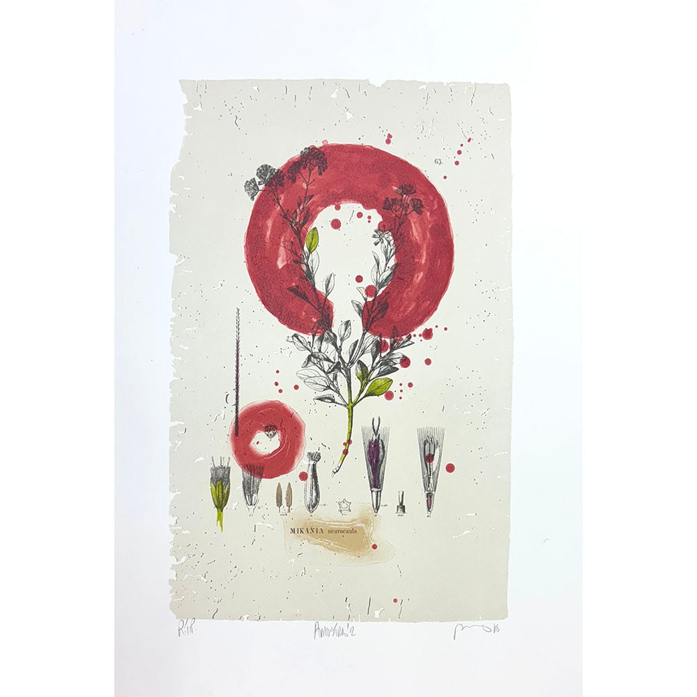 Bob Nugent, Amostra #2: Bob Nugent is known for his abstractions of natural elements. His work is featured prominently in museums and private collections. This print was created at Landfall Press in Santa Fe, as part of a