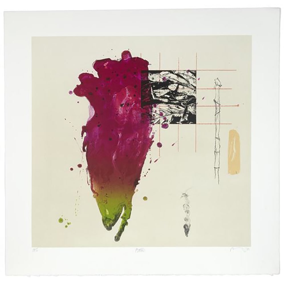 Bob Nugent, Botão: Bob Nugent is known for his abstractions of natural elements. His work is featured prominently in museums and private collections. This print was created at Landfall Press in Santa Fe, as part of a su