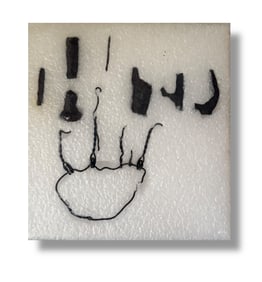 American Matt Bua "excavation series" conceptual art Found Objects