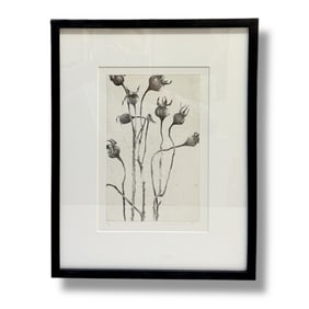 21st Century Contemporary artist Sara Horowitz (b. 1977) Etching with Engraving 2010