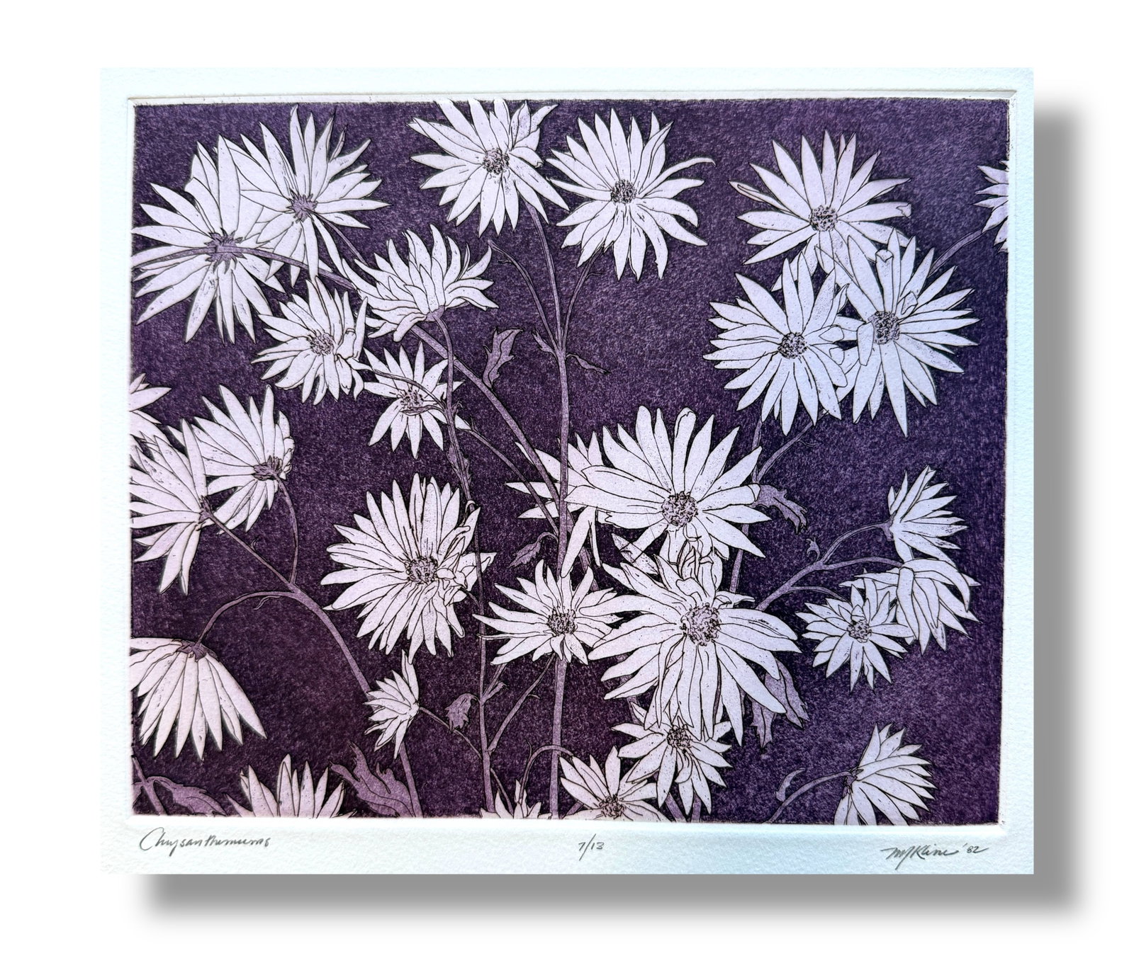 American 20th century 1982 Print 7/13 "Chrysanthemums" By Martin Kline (b. 1961): Hand signed and numbered 7/13 print by noteworthy American artist Martin Kline (b. 1961) entitled "Chrysanthemums" executed in 1982. Excellent vintage condition measuring 22.25" x 15"