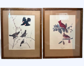 Set of 2 Audubon Lithographs Red Winged Starling & Common Cardinal Grosbeak 1966 Genuine Wood Frames