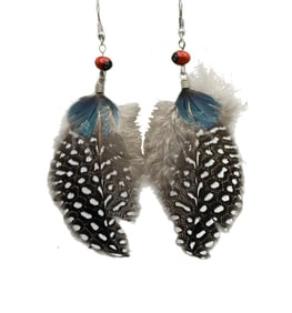 Native American Seed and Pheasant Feather Dangle Earrings