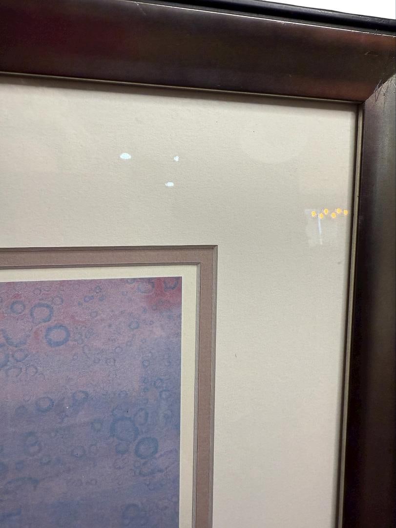 Frank Howell "Summer Gilds the River Rose" Rare Gallery Lithograph Professionally Framed & Matted - 2