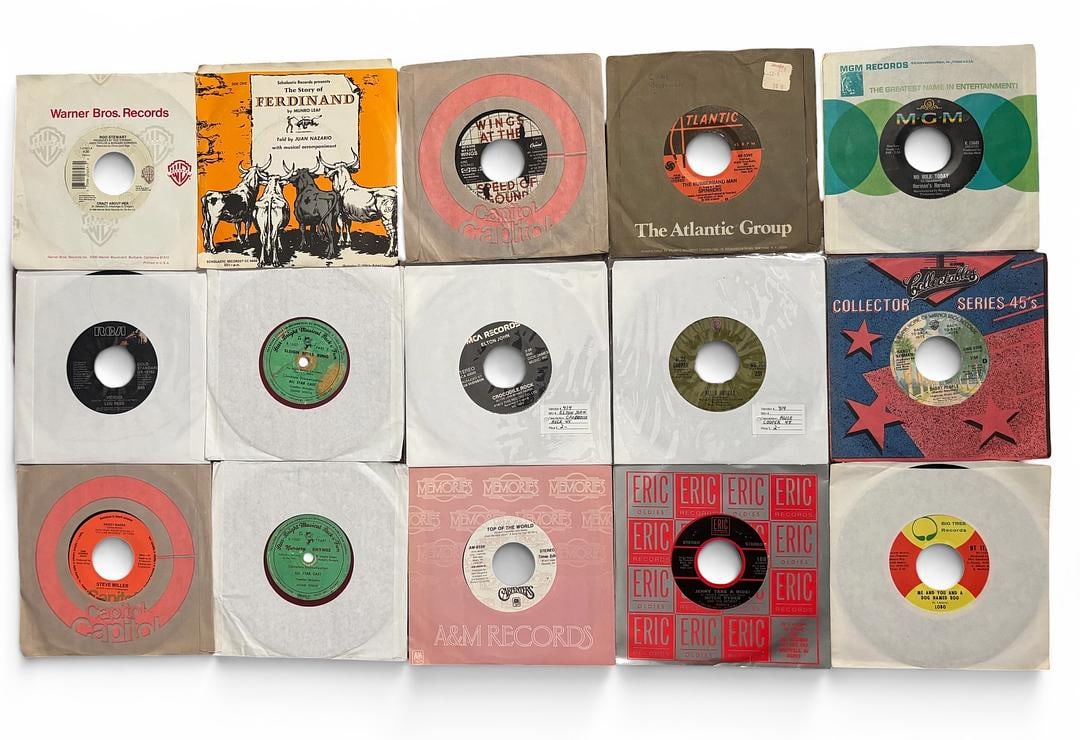 Lot of 15 Rare and High Value 45rpm Vinyl Records Lou Reed Steve Miller Wings Elton John Carpenters: Lot of 15 Rare and High Value 45rpm Vinyl Records. What you see in the photo is what you will receive. Please review the photos carefully for information and send question to the email listed prior to