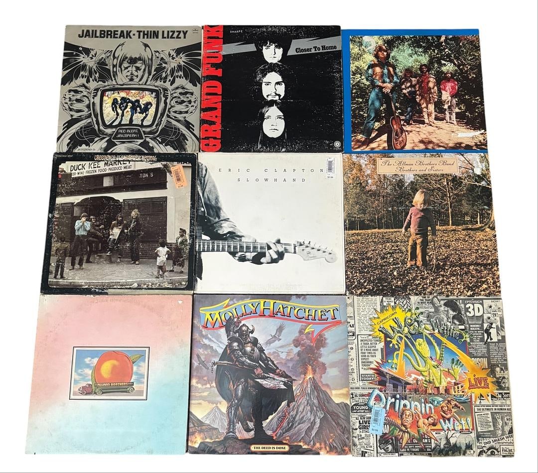 Southern Fried Rock Warriors Vinyl Record Lot of 9 LPs (1 of 5)
