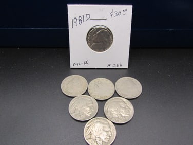 Nickel Lot; 1981-D GEM BU Jefferson Nickel, 1926, 1934, 1935 Buffalo Nickels, 1899, 1903, 1907