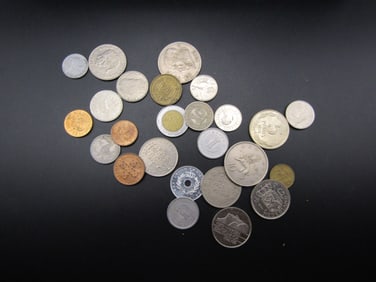 25 Unsearched World/ Foreign Coins