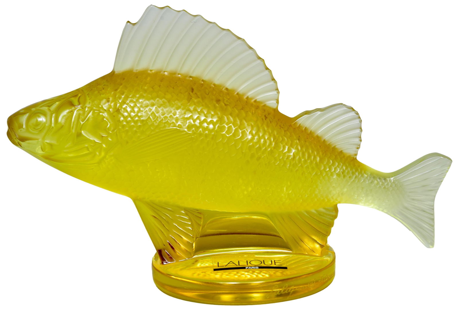 Lalique Crystal Perche Fish Sculpture (1 of 8)