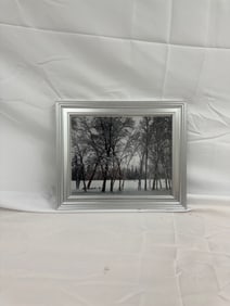 Ansel Adams "Young Oaks, Winter" Signed Photo Framed