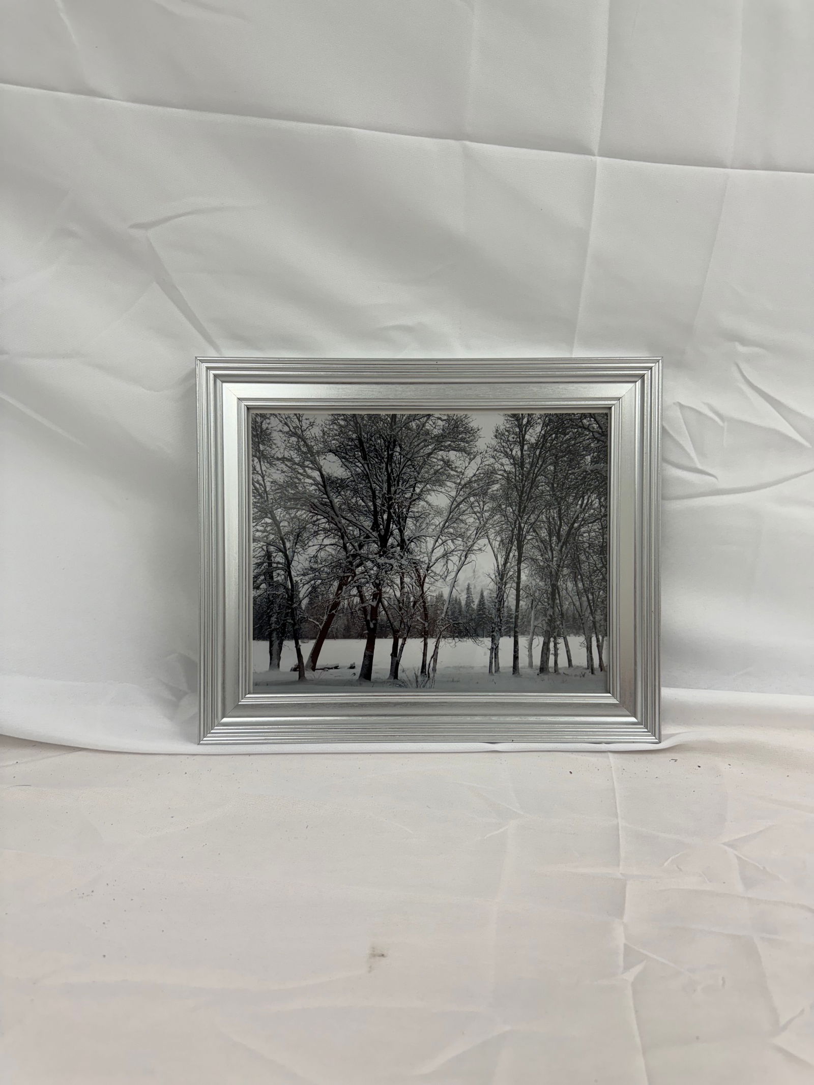Ansel Adams "Young Oaks, Winter" Signed Photo Framed (1 of 1)