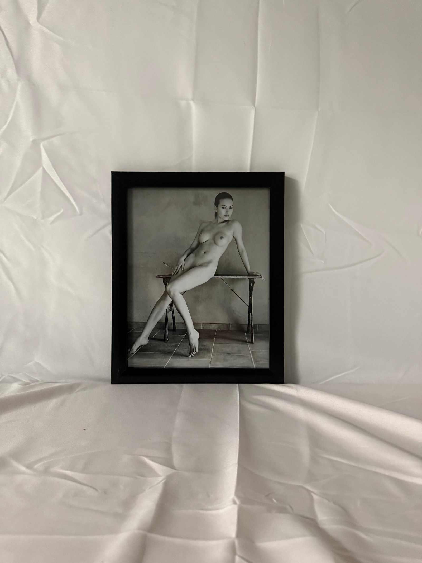 Didier Carre, Stainless Ladies: Didier Carre, Stainless Ladies. measures 8x10in.