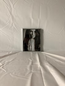 Didier Carre "Stainless Ladies" Framed