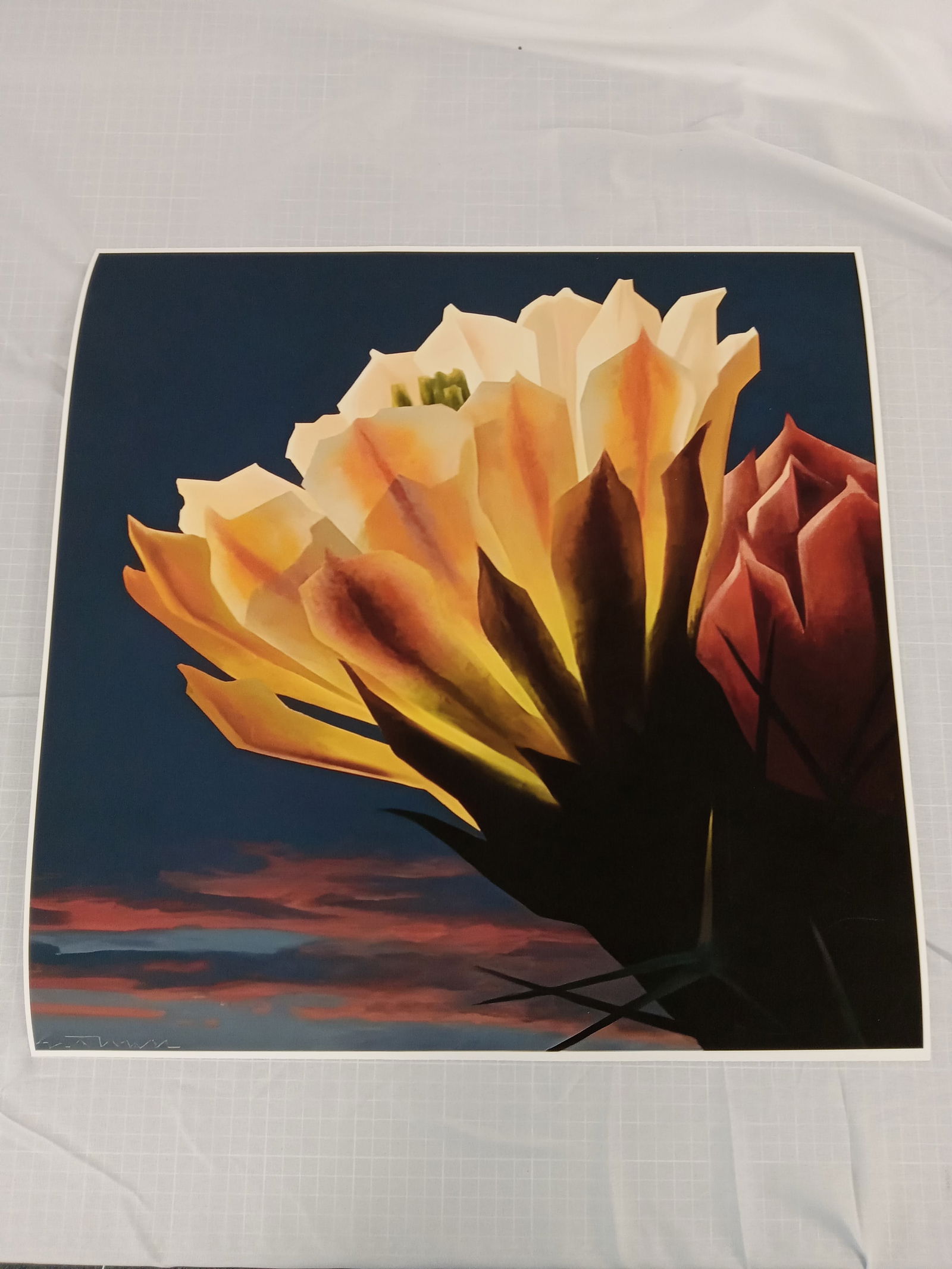Ed Mell "Cactus Flower" Print (1 of 1)