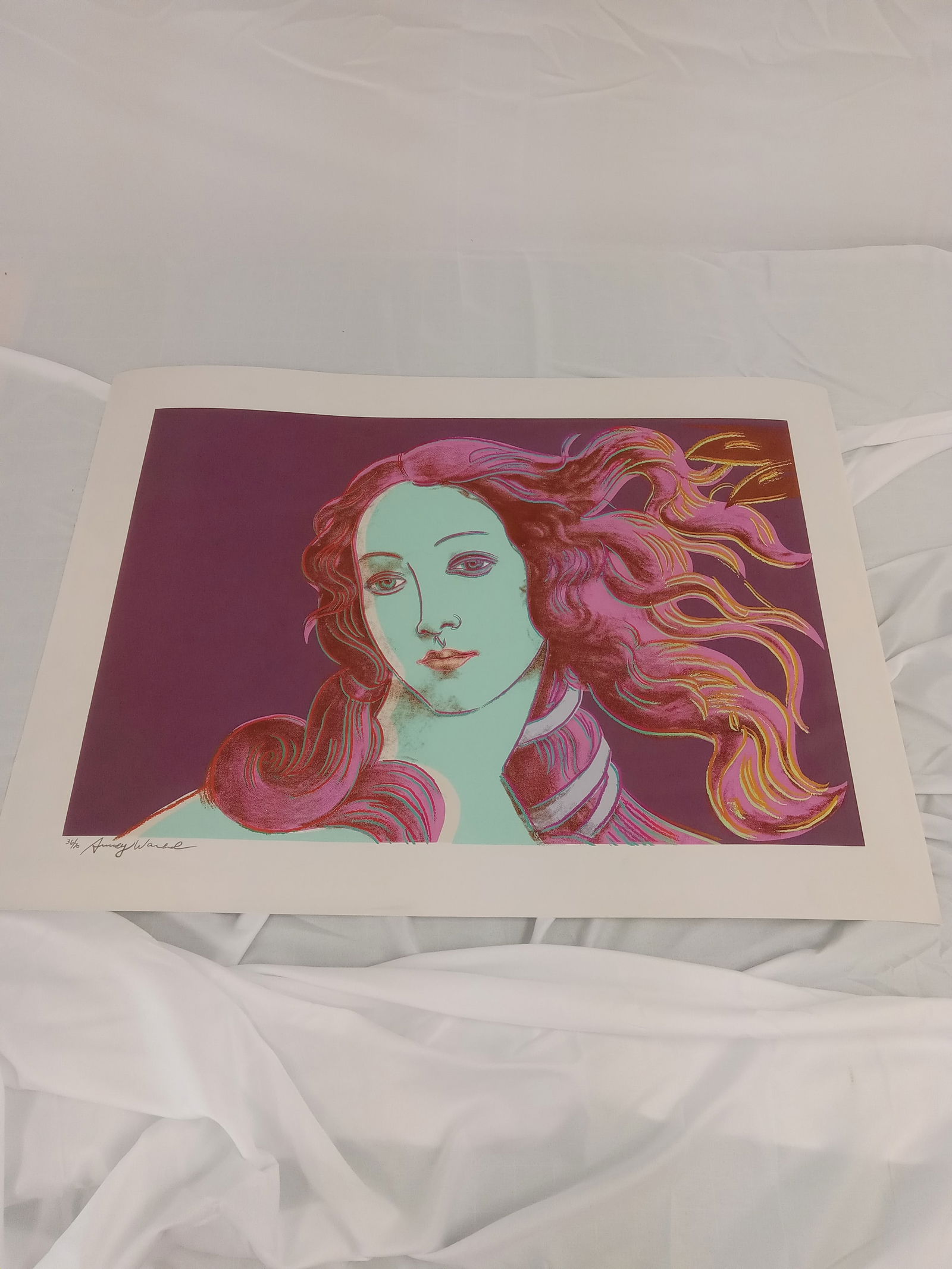 Andy Warhol "Birth of Venus, 1995" Signed Print: Andy Warhol "Birth of Venus, 1995" Signed Print Pencil signed and numbered print on heavy wove paper, "Birth of Venus" by Andy Warhol. Unknown print date. Measuress 22x30 inches.