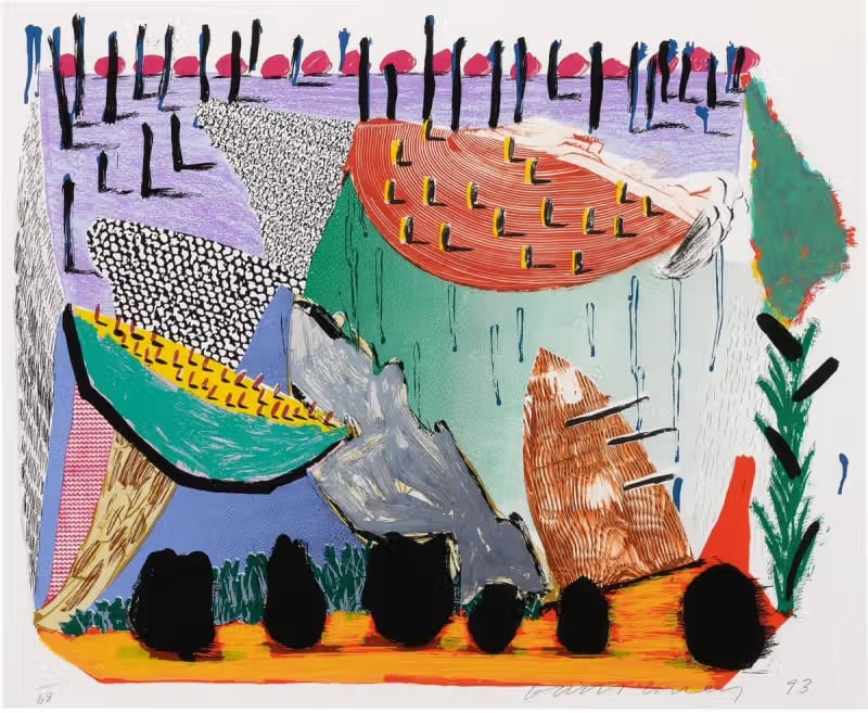 David Hockney "Slow Rise" sold after: David Hockney "Slow Rise",After on heavy wove paper, measures 25 X 30.5 inches, These are part of the estate sale and we do not have a COA. All lots offered in our auctions are sold strictly on an "AS