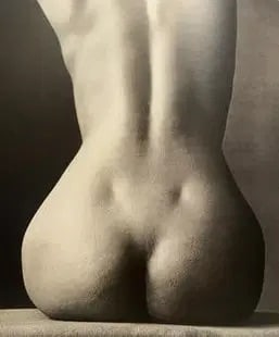 Irving Penn "Sitting Nude Rear, New York" Print after: Irving Penn "Sitting Nude Rear, New York" Print. Photoprint on kodak photopaper, framed, measures 8 x 10 inches. These are part of the estate sale and we do not have a COA. All lots offered in our auc