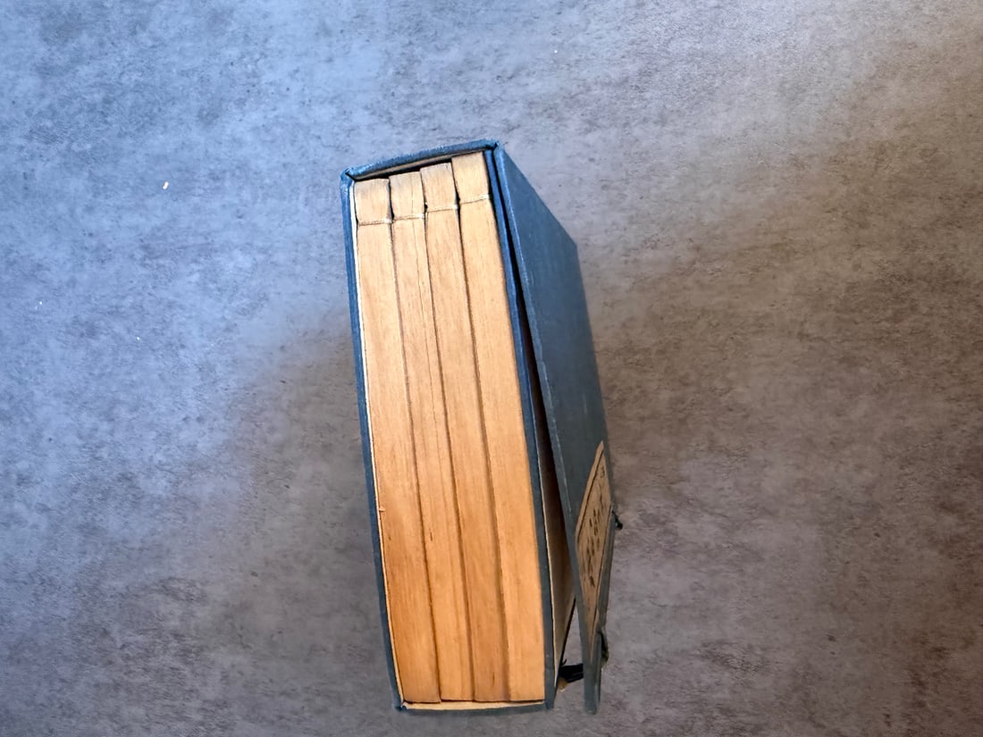 Thread-Bound Collected Works of Kang Youwei (Kang Nanhai), Multi-Volume Set - 3