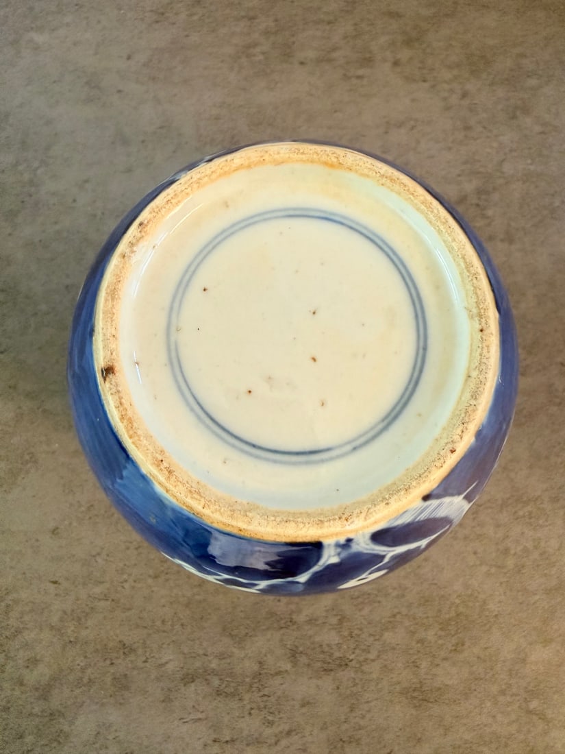 Chinese Blue and White Porcelain Ginger Jar with Prunus Decoration - 2