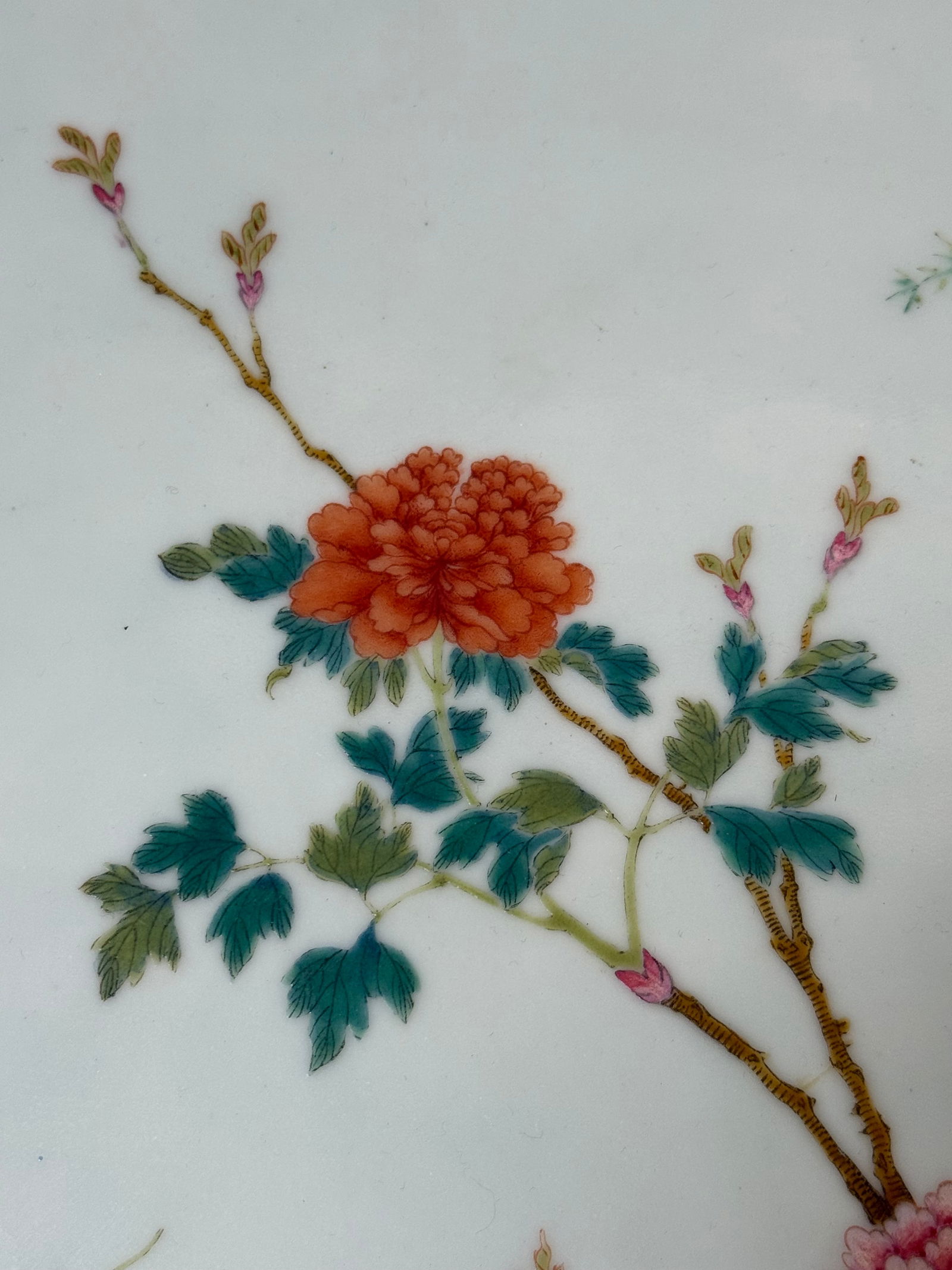 Chinese Late Qing Famille Rose Porcelain Plaque with Peonies, Bamboo and Scholar’s Rock, Framed - 4