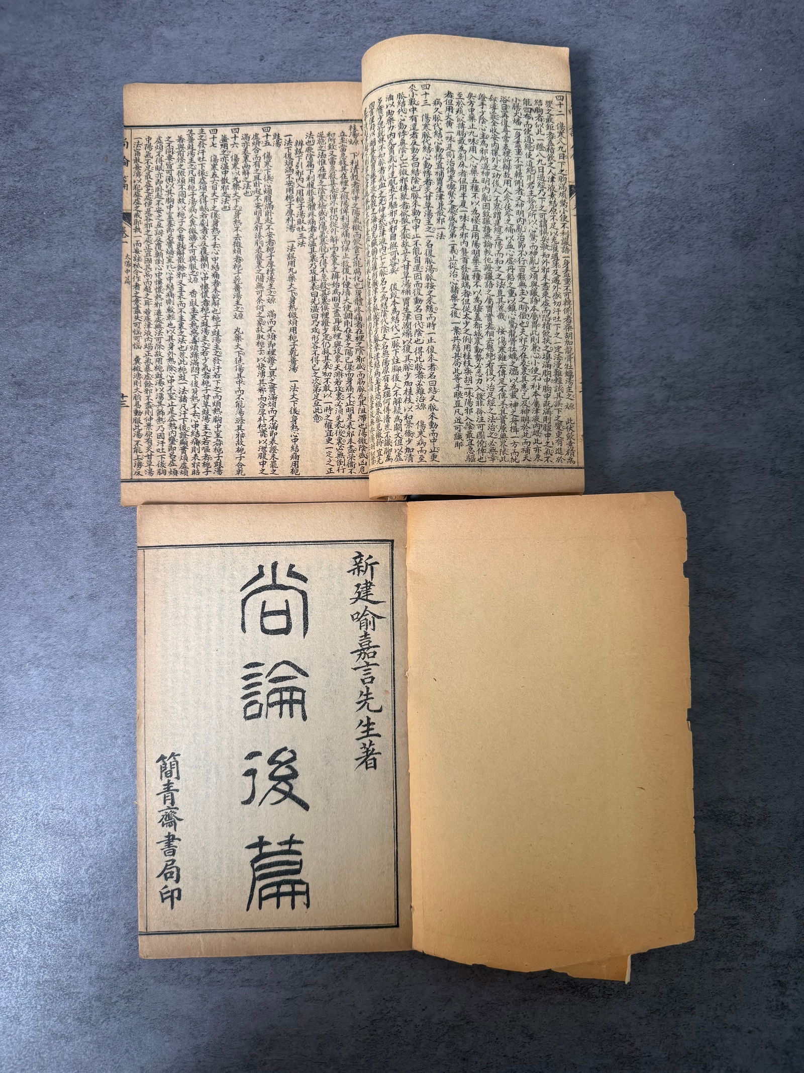 RARE ANTIQUE Chinese Medical Book “Shang Lun Pian” – Late Qing Dynasty - 2