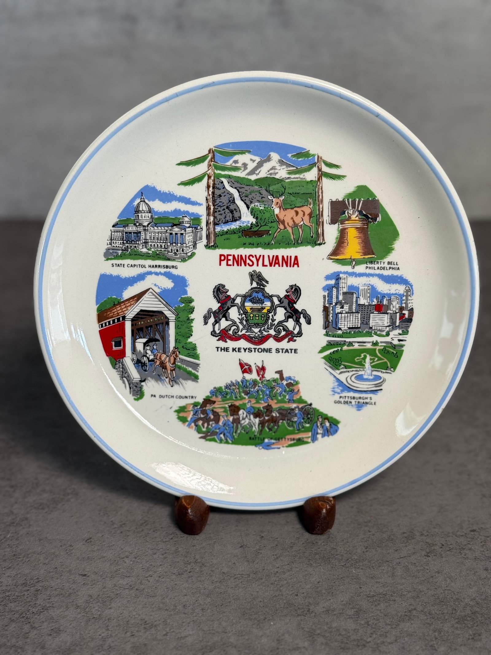 ECLECTIC GROUP OF TEN DECORATIVE SOUVENIR PORCELAIN PLATES - 5
