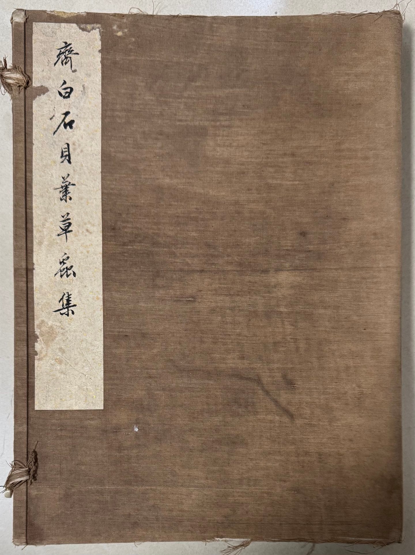 Qi Baishi Grass and Insect Drawing Volume (1 of 15)