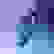 item-51293125=2