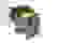 item-51293340=5