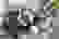 item-51293397=7