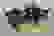 item-51293540=3