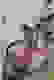 item-51293614=6