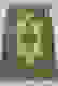 item-51293693=2