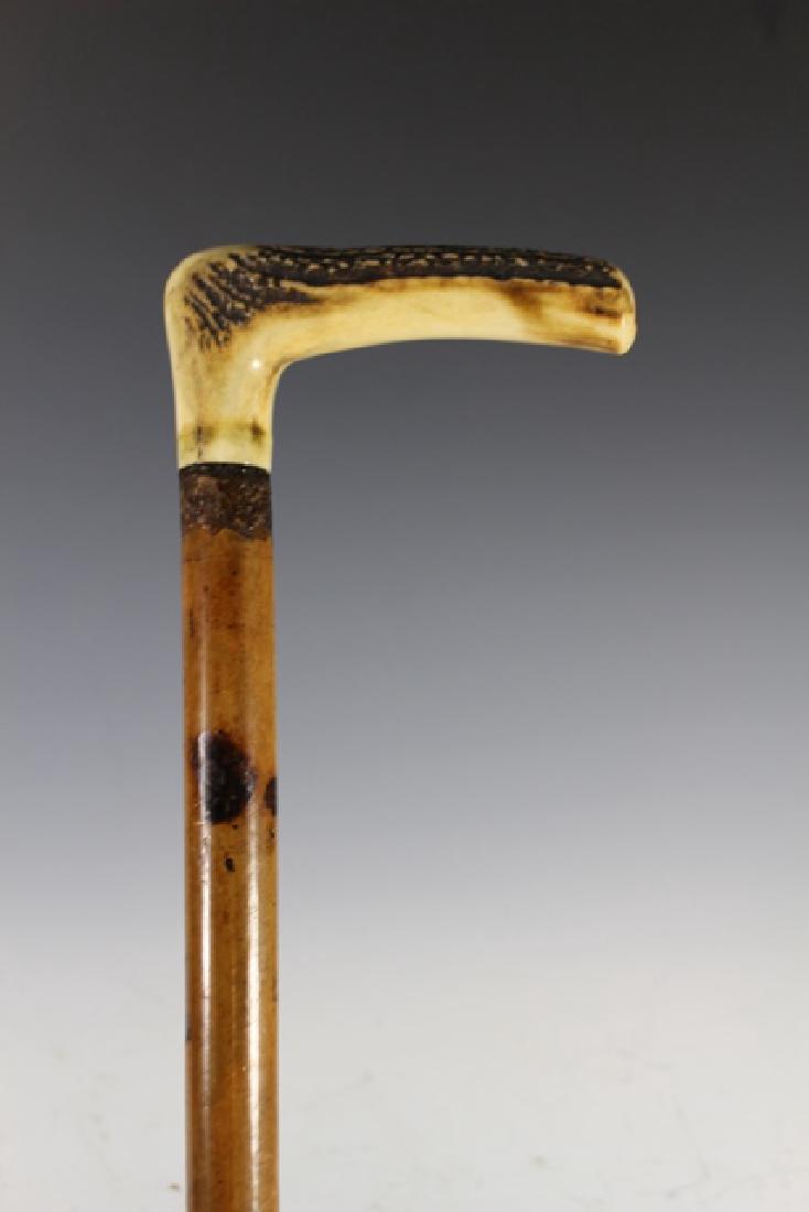 Deer Antler  Handled Cane (1 of 5)