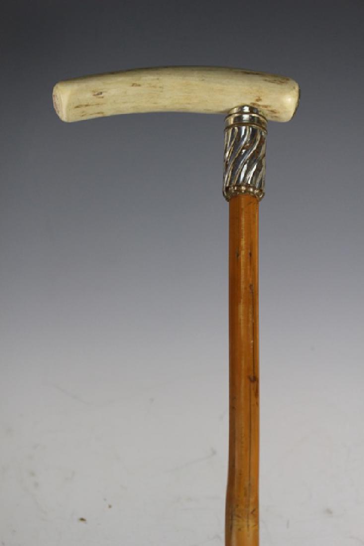 Stag Horn Bamboo Walking Stick (1 of 7)