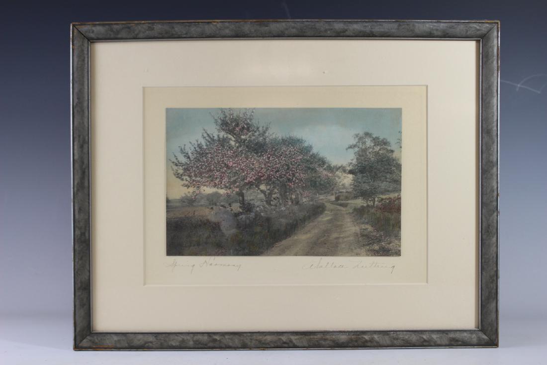 Wallace Nutting "Spring Harmony" Print: Wallace Nutting "Spring Harmony" framed and matted print. Approx. 13"t by 17"w including frame, 6"t by 9.5"w print only. Overall good condition with some paint loss around wood frame, see photos.