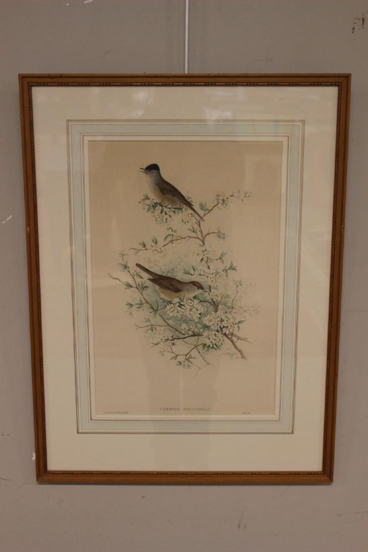 J. Gould Lithograph (1 of 10)