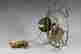 item-72074261=2
