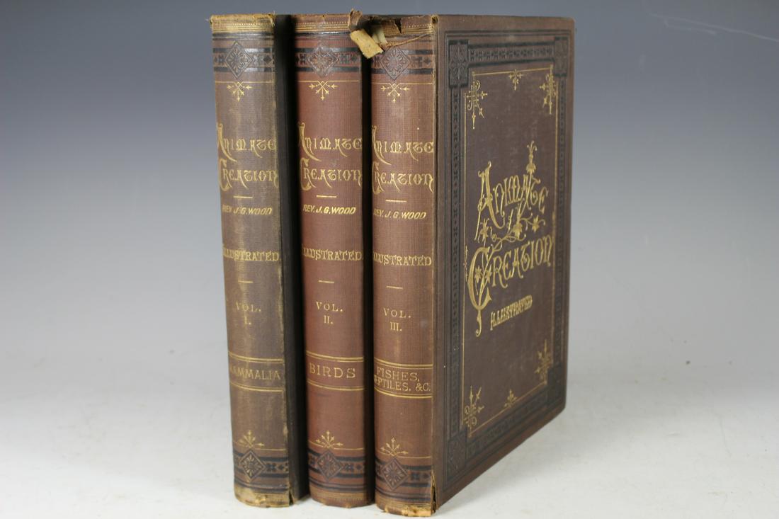 ANIMATE CREATION illustrated (1 of 7)