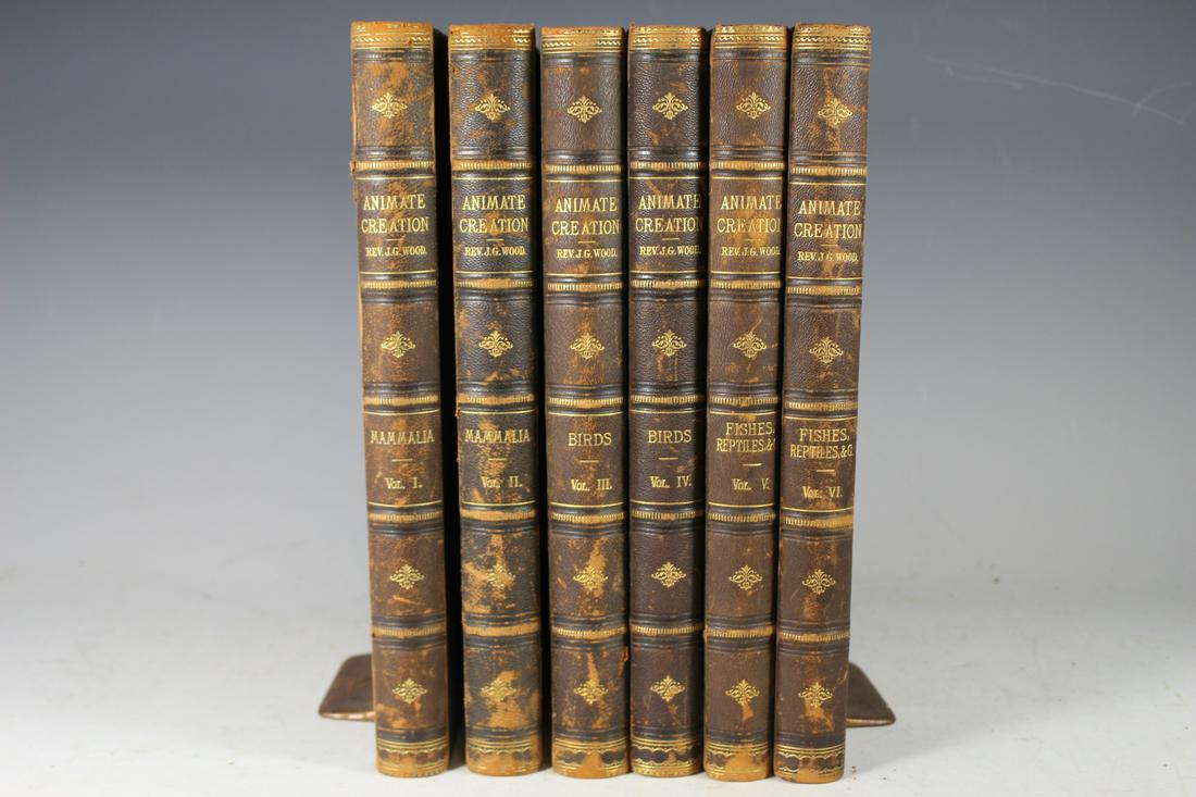 ANIMATE CREATION illustrated in 6 Volumes (1 of 10)