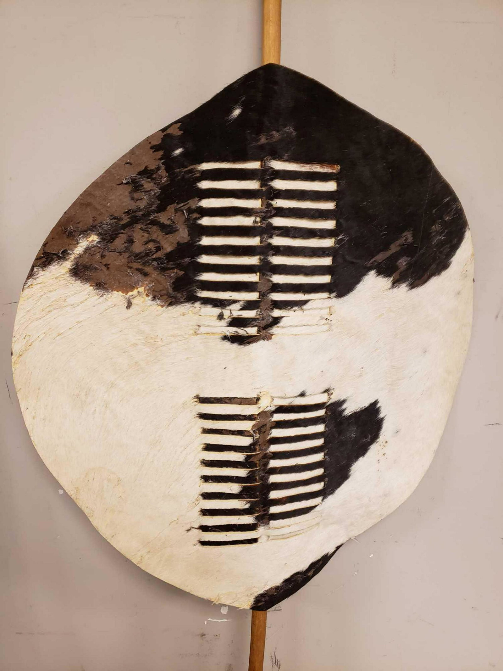 African Hide Wrapped Tribal Shield: African shield with animal hide front and wood. 70" tall x 29" wide.ÃŠ Worn hide and losses as shown, see photos.