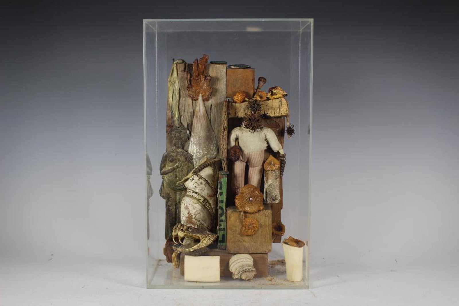 20th Century Mixed Media Art Sculpture Diorama: Very unusual and unique, 20th century art sculpture under Lucite box depicting some natural earthenware, taxidermy rattlesnake head, cured mushrooms, bone and other objects. Making a great diorama dis